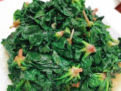 清炒小菠菜-新虹楼饭庄(崇明陈家镇店)