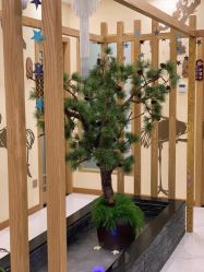 点击看大图 -芳朵美容养生SPA