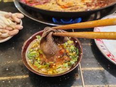 -肥龙火锅(南坪店)