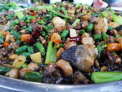 -铁山坪森林公园