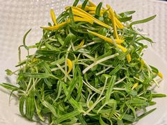 -石泉私宴