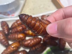 -延边烧烤•8年匠心(秦皇岛总店)