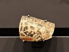 -四川大学博物馆