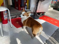 -小梁哥云吞面(黄贝岭店)
