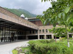 -卧龙中华大熊猫苑神树坪基地