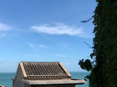 -枸杞岛