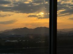 -中国茶叶博物馆(双峰馆区)