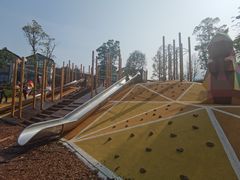 -铁山坪森林公园