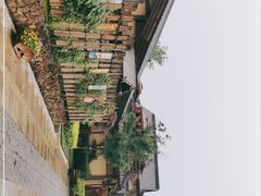 -诗经里
