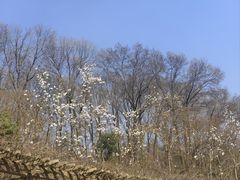 -音乐台