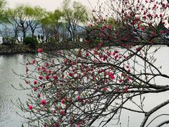 -无锡蠡湖国家湿地公园-蠡园