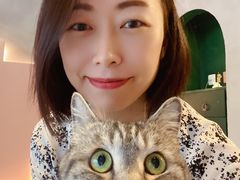 -猫儿山۰猫主题餐厅