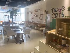 -藏猫猫咖啡主题馆(中央大道店)