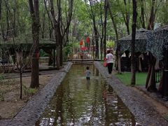 -草根堂农场