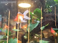-大家乐(广州荔湾领展广场店)