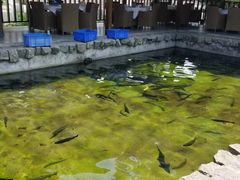 -京北渔家傲