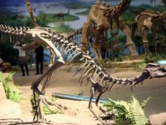 -自贡恐龙博物馆