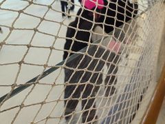 -世纪星滑冰俱乐部(万象城店)