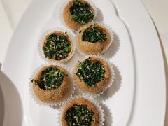 -席家花园(巨鹿花园店)