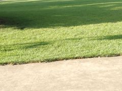 -迎燕阁烤羊腿(二环南路店)