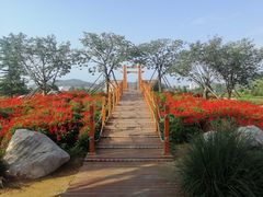 -羊亭河湿地公园