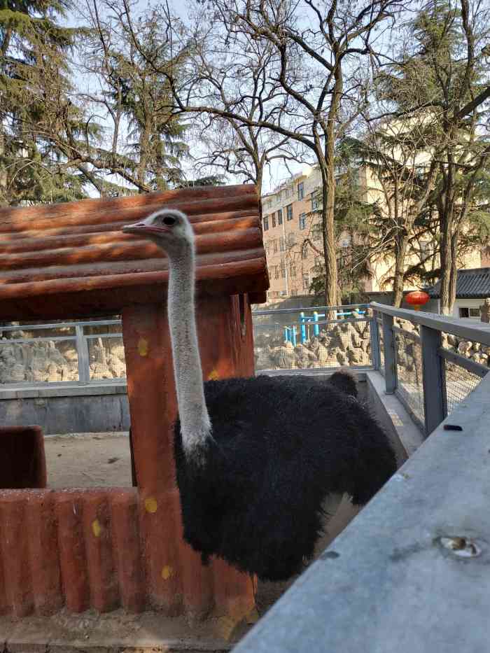 罗庄动物园-"不错的地方……加了很多可以玩的地方……不.