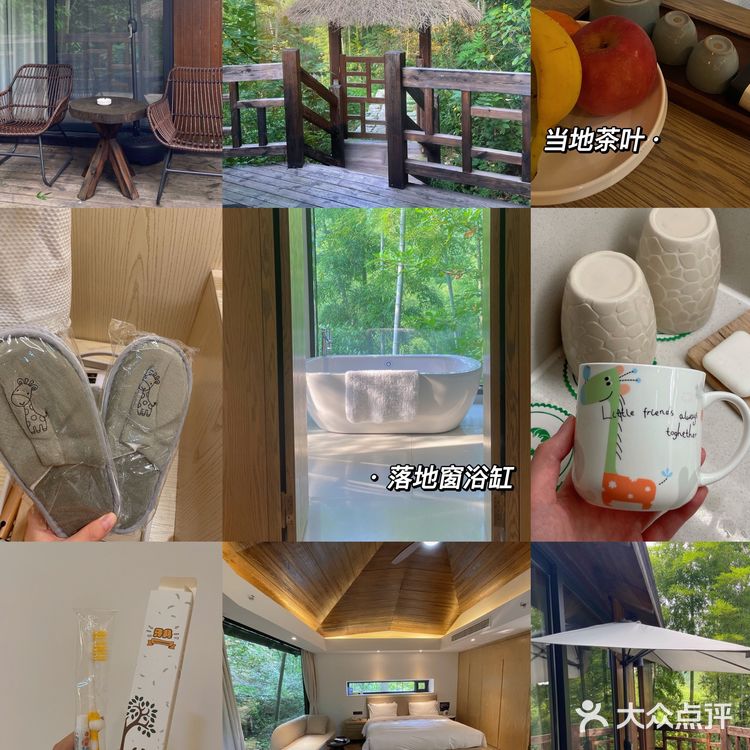 不用去肯尼亚🇰🇪也能和长颈鹿🦒共进早餐呀