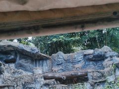 -清迈夜间动物园