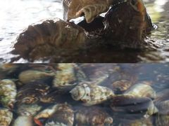 -三亚火车头万人海鲜广场