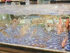 -龙悦湾酒家·八阵鱼生·渔人码头店
