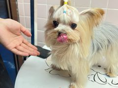 -FAELING PETS美天灵宠物(富力广场店)