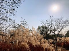 -梁鸿国家湿地公园