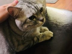 -H立方实景剧情密室(天河旗舰店)