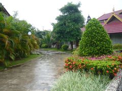 -西双版纳原始森林公园