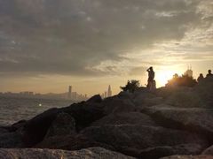 -深圳湾公园(南山区)