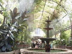 -The Grounds of Alexandria