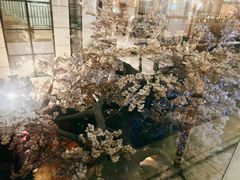-嘉悦汗蒸时代(曙光路店)