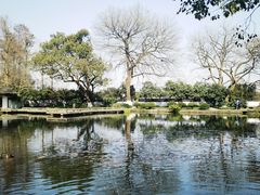 -郭庄景区