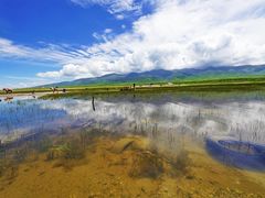 -青海湖国家重点风景名胜区