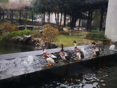 -扬州瘦西湖汇金酒店