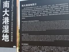-南大港湿地风景区