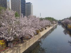 -海棠花溪(元大都城垣遗址公园)