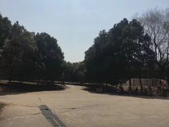 -南京航空航天大学(将军路校区)