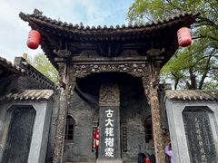 -大槐树寻根祭祖园