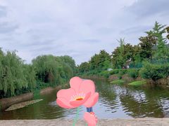-树山生态村