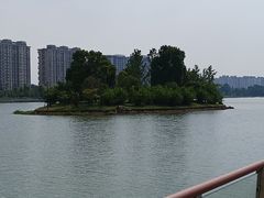 -金沙湖公园