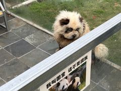 -上海佘山茂御臻品之选酒店(原佘山艾美酒店)