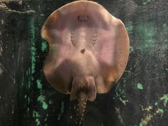 -常州海昌海洋探索馆
