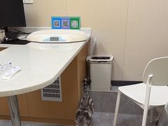 -安安宠医·臻爱宠物医院·宠保定点(营门口路分院)