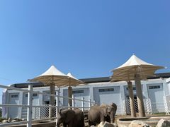 -大青山野生动物园
